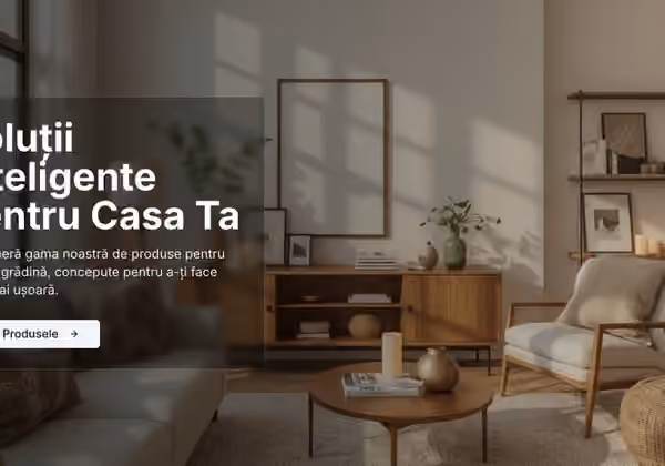 Zenith LC — Servicii Profesionale