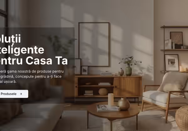 Zenith LC — Servicii Profesionale